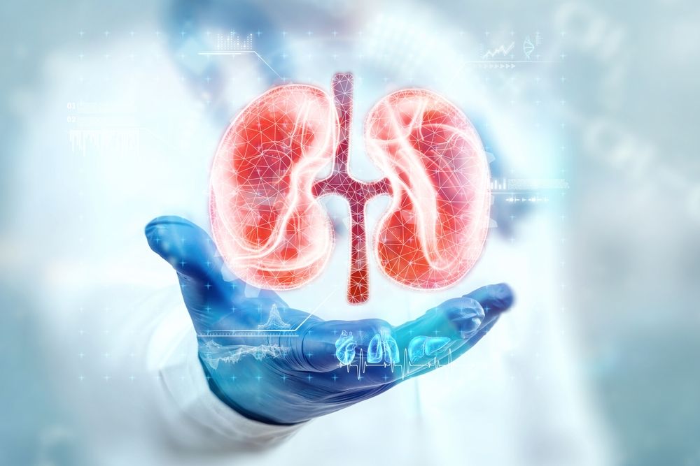 Stage 1–3 CKD: Act Now to Protect Your Kidneys