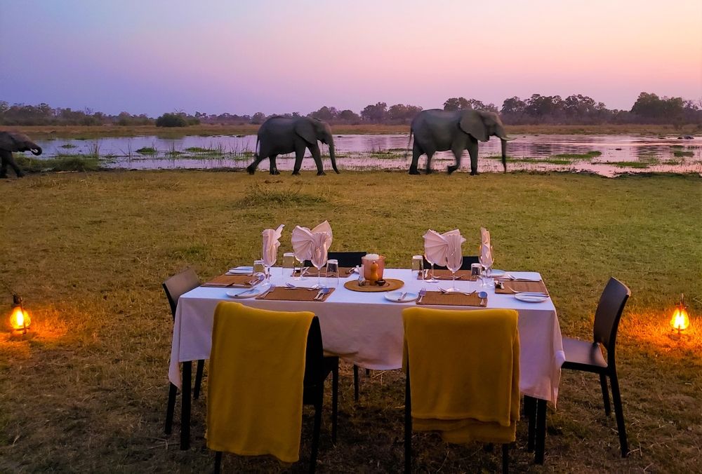 Luxury African Safari Lodges for Senior US Travellers