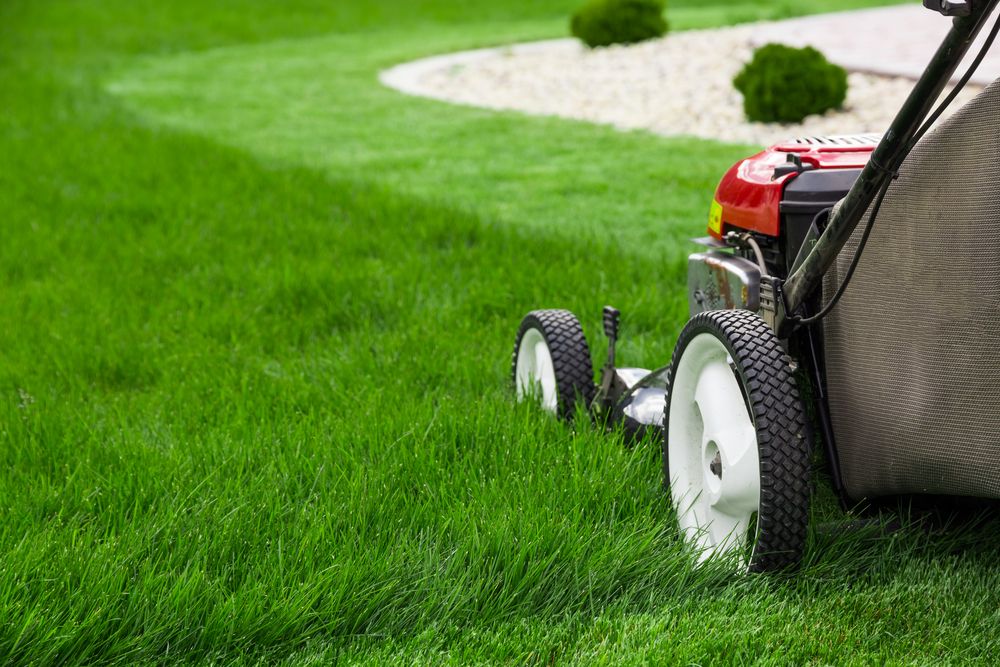 Lawn Care for Seniors: Professionals at Your Doorstep