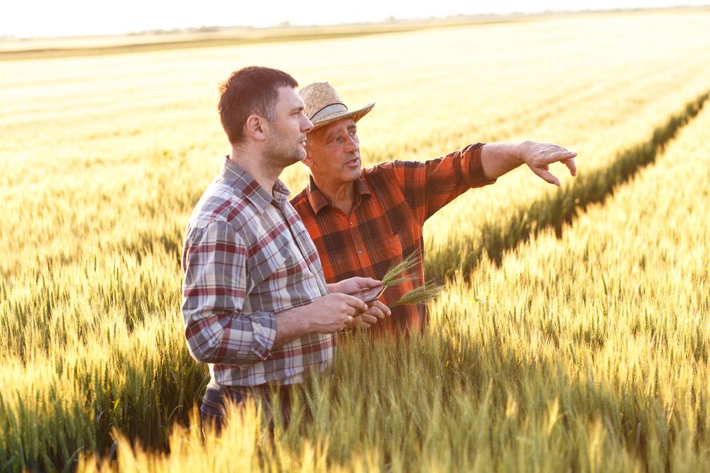Grant Opportunities: A Guide for Small Farms and Rural Ventures