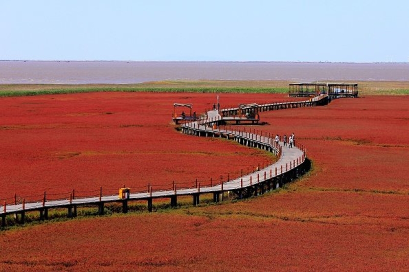 Red Beach, Panjin, China | Getty Images