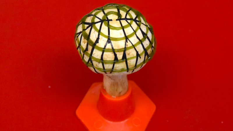 Making Electricity With “Bionic” Mushrooms | 