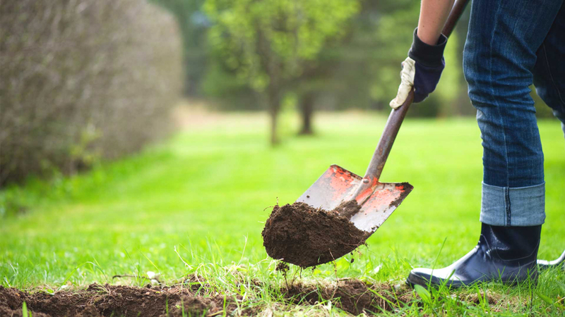 The Magic of Gardening | Shutterstock
