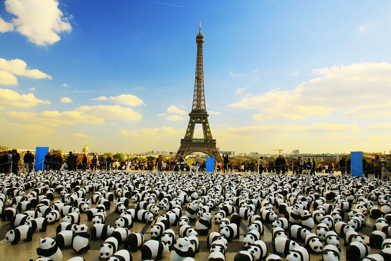 These Jaw-Dropping PR Stunts Made Serious Bank | flickr.com/earthhour_global
