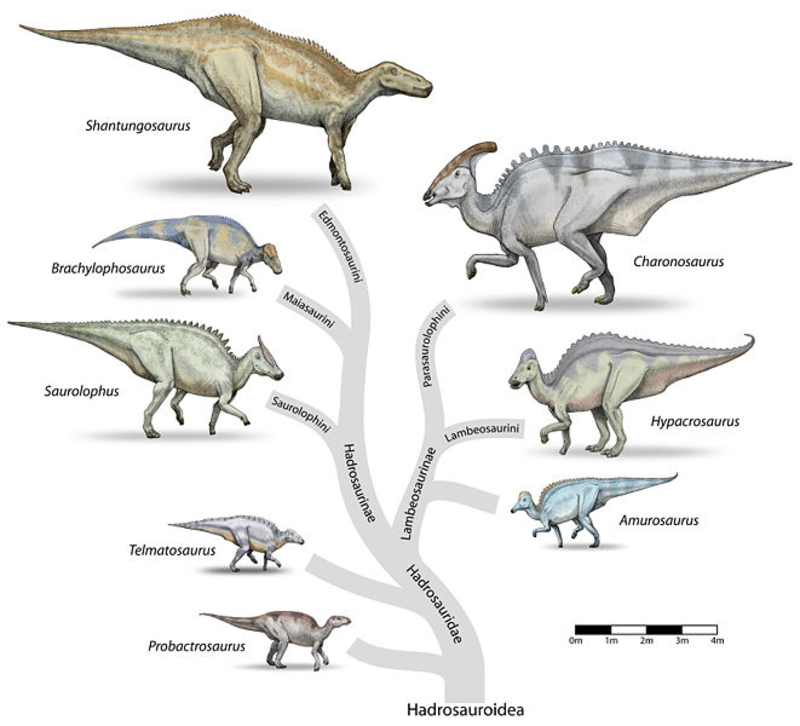 New Dinosaur Discoveries: Eggs, Embryos, Teeth, and Much More | 