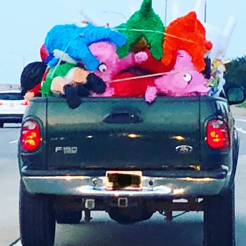 Somebody Is About to Have Quite the Fiesta | Instagram/@timsteele214
