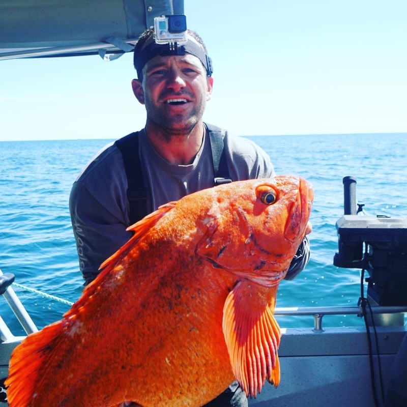 Here’s a Photo of a Giant Goldfish, You’re Welcome | Instagram/@koach_kev_kkfit