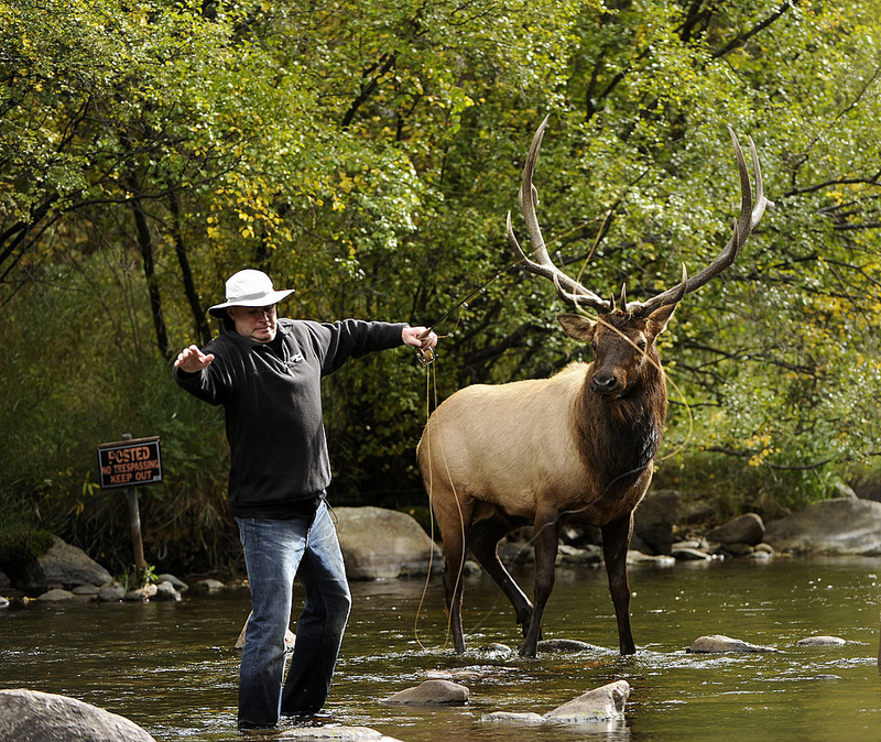 “Move Over; I Was Fishing Here First” | Getty Images Photo by Joe Amon/The Denver Post