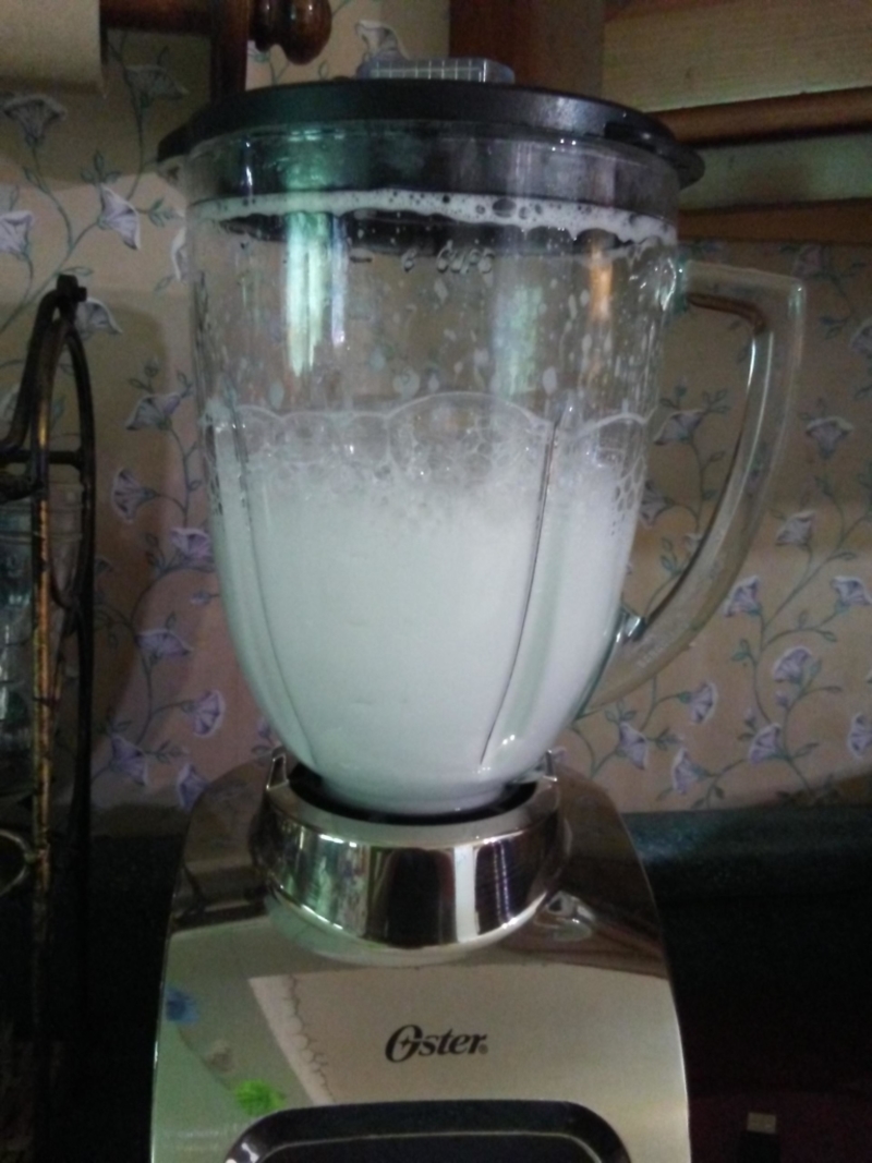 Throw Dishwashing Liquid into Your Blender | imgur.com/r/LifeHacks/T7cQb2m