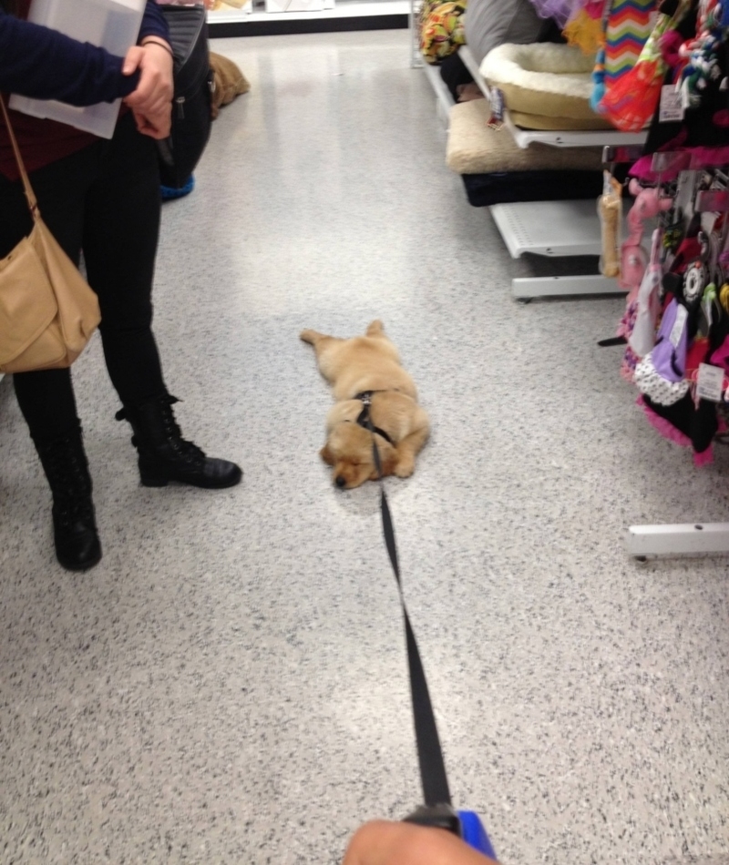I Told You I’m Staying in This Aisle | Imgur.com/X9u9VzH