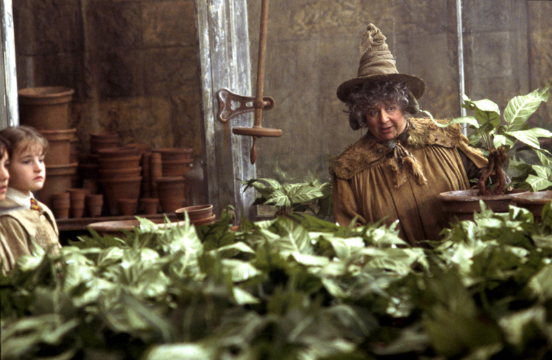Miriam Margolyes as Pomona Sprout | MovieStillsDB Photo by thankstome/Warner Bros