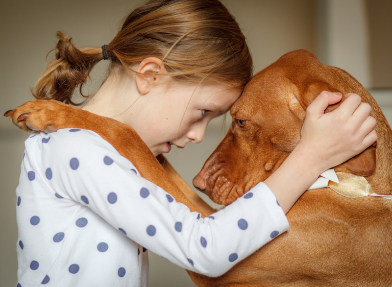 If Your Dog Acts Worried Towards a Part Of Your Body, Go Get It Checked | Getty Images photo by Deborah Pendell