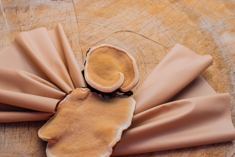 How Mushroom Leather Is Made | Shutterstock