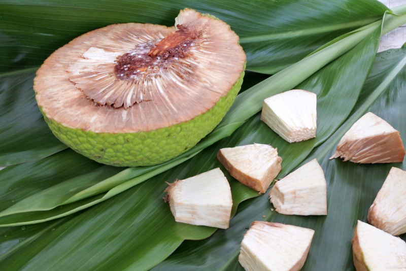 What Does Breadfruit Bring to the Table? | Shutterstock