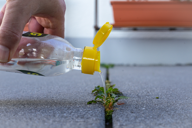 Eliminate Weeds | Shutterstock