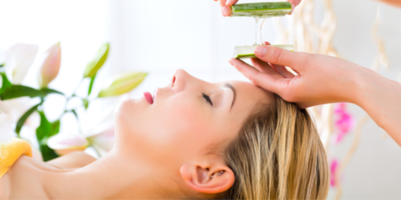 All You Need to Know About Aloe Vera | 