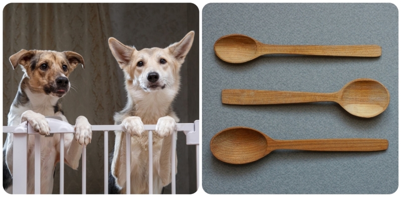 Truco ingenioso con una cuchara de madera | Shutterstock
