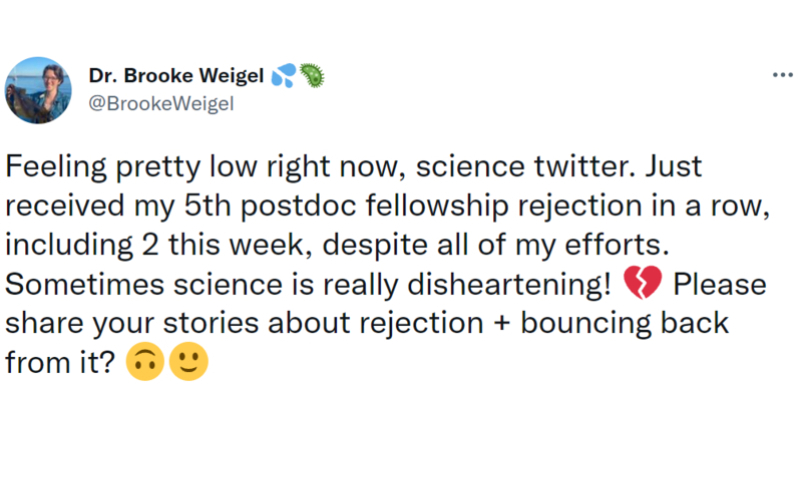 The Rejections Poured In | Twitter/@BrookeWeigel