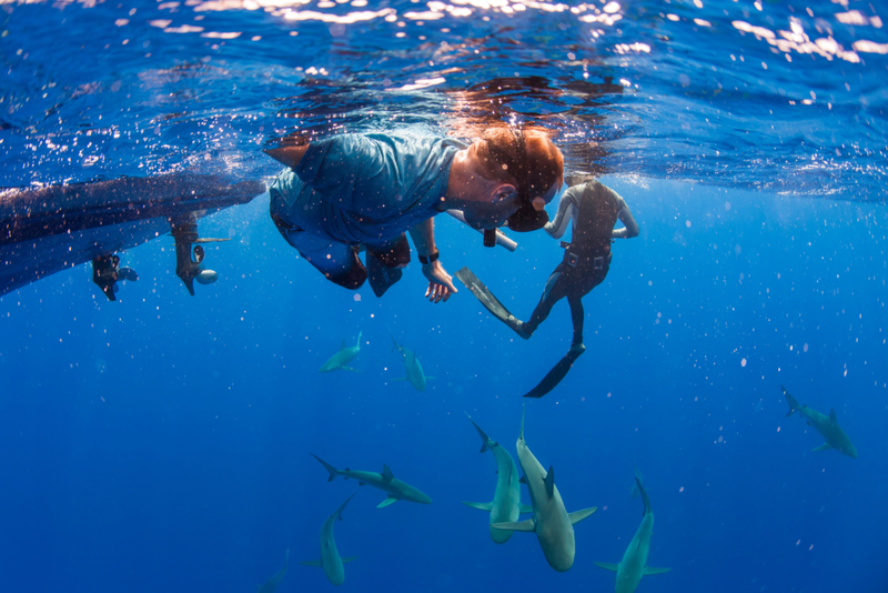Cuidado con los tiburones | Alamy Stock Photo