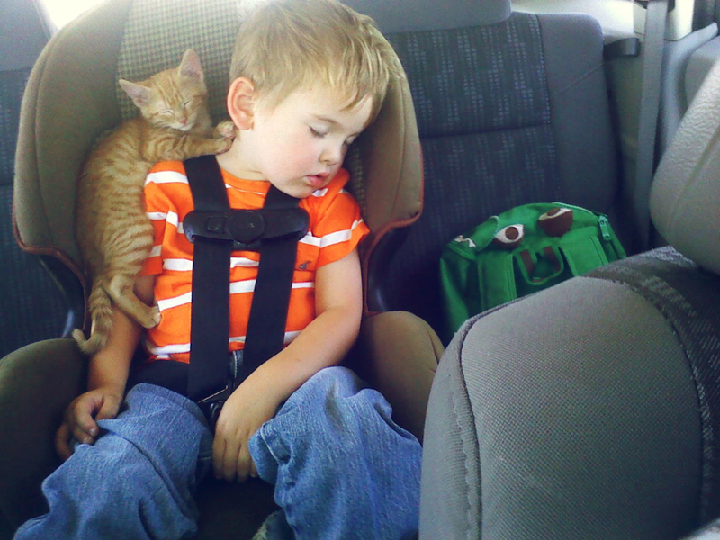 Why Is This Child in My Car Seat? | Imgur.com/W9qAT4u