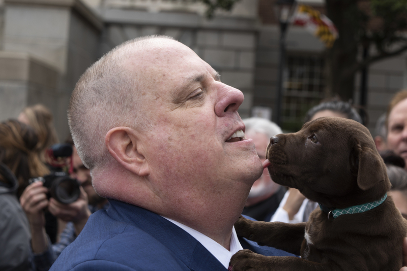 Warum ein Hund seine Pfoten hebt | Getty Images Photo by Marvin Joseph/The Washington Post 