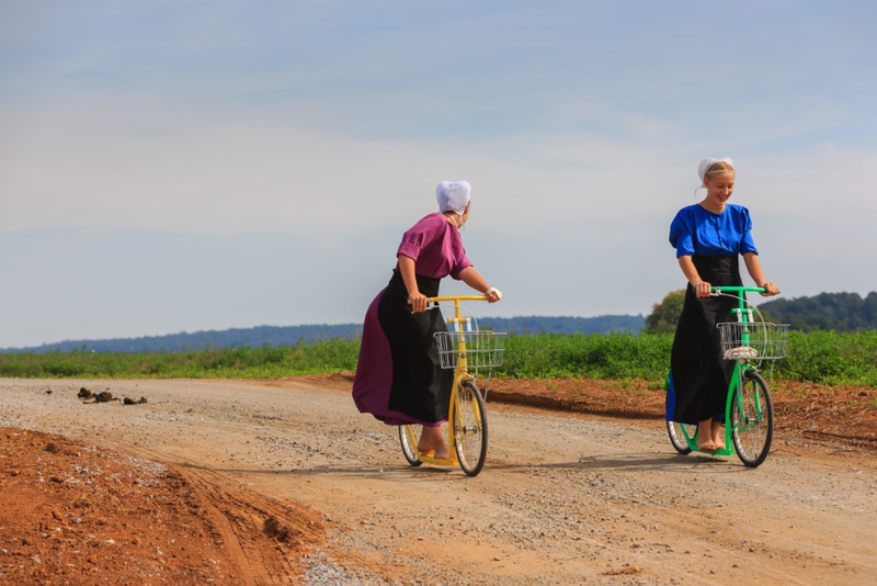 Choosing the Amish Life | Alamy Stock Photo by Henk Meijer 