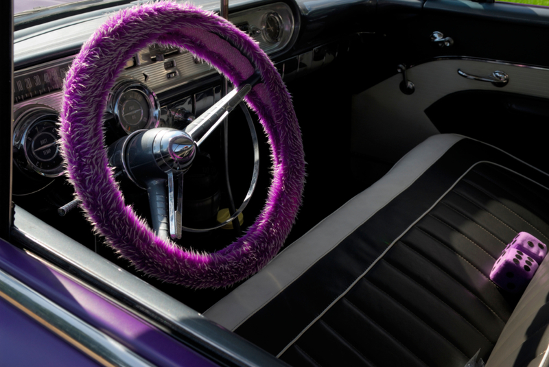 Steering Wheel Covers | Alamy Stock Photo by Gaertner