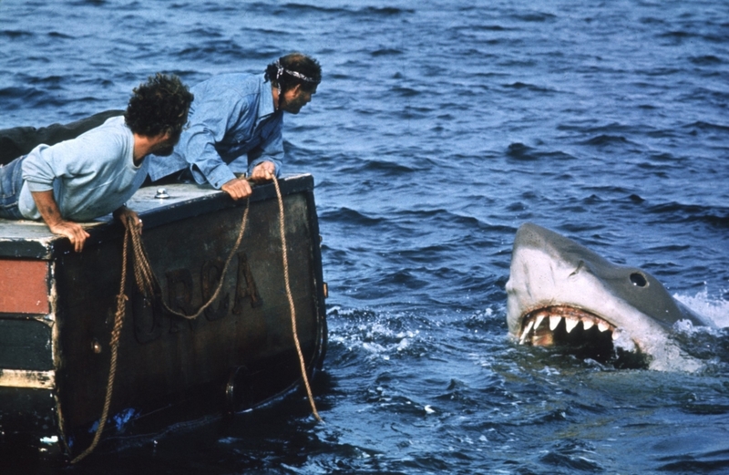 The Shark from “Jaws” | MovieStillsDB