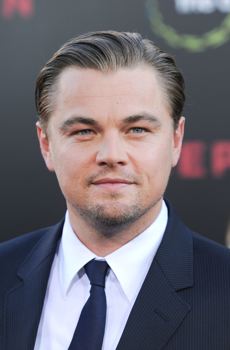 Leonardo DiCaprio | Alamy Stock Photo