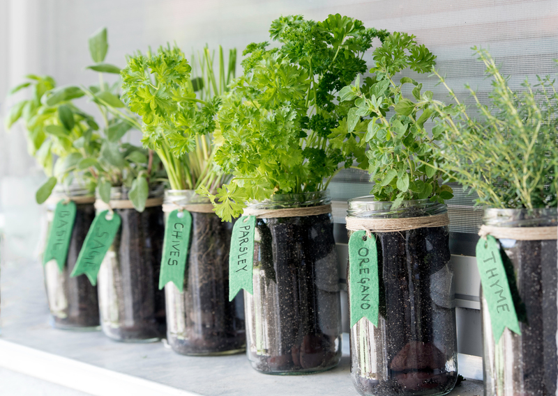 Create Your Herb Garden | Alamy Stock Photo