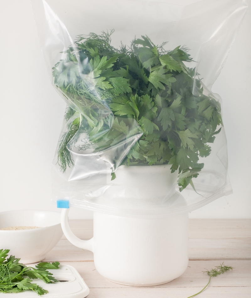 How to Bring Your Herbs Back to Life | Shutterstock