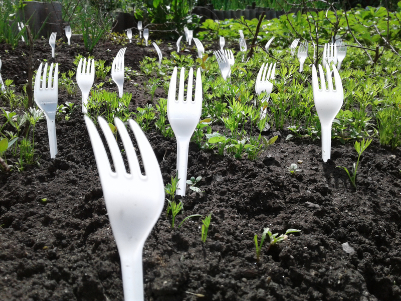 Plastic Forks | Shutterstock