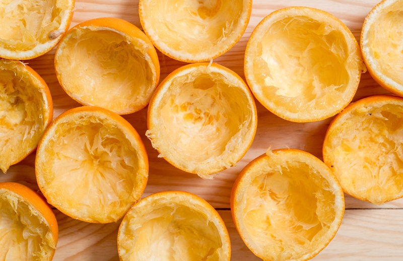 Orange Peel Seed Starters | Shutterstock