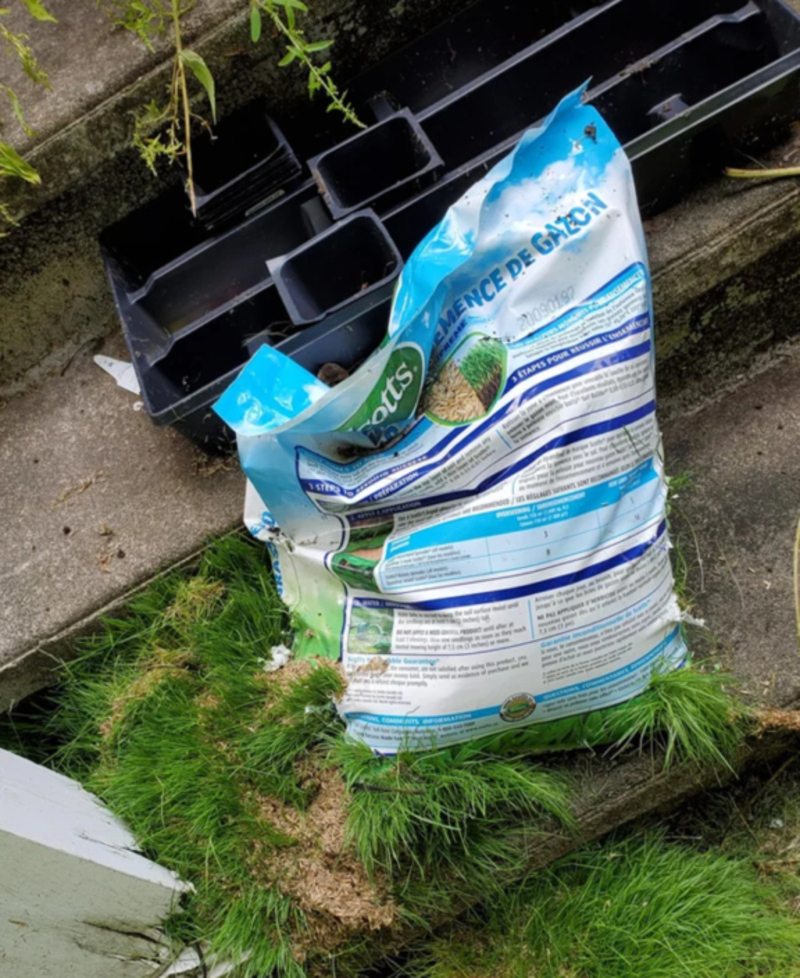 What If You Left a Bag of Grass Seed Out? | Reddit.com/Domidod1d