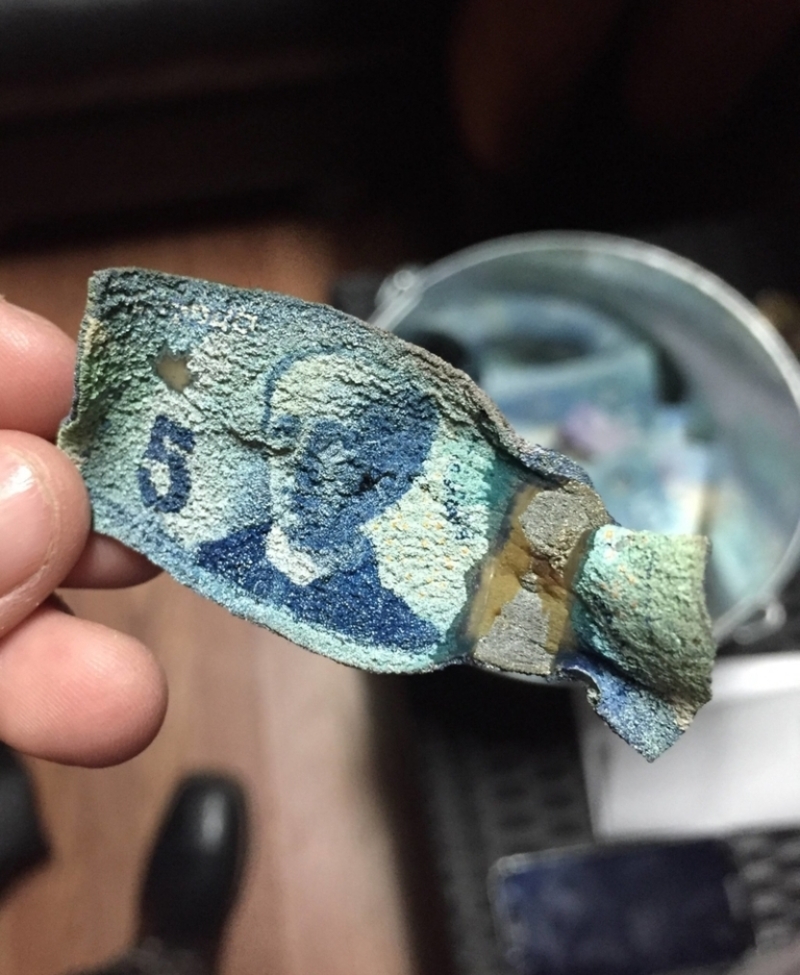 What if a Canadian Five-Dollar Bill Caught Fire? | Imgur.com/TVqWj38