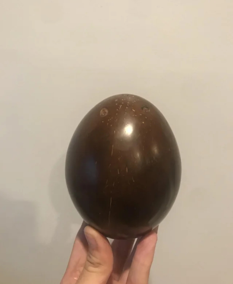 What if You Polished a Coconut? | Reddit.com/Roctopus420