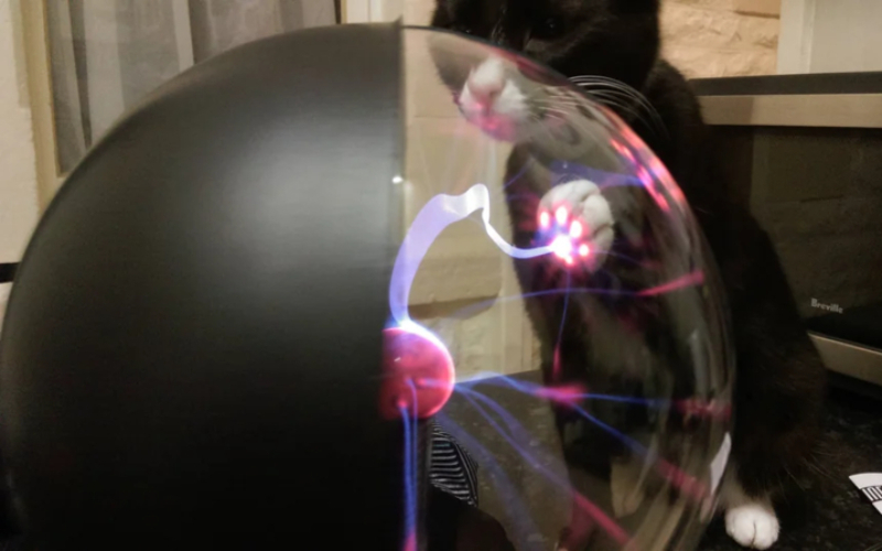 What if a Cat Plays With a Plasma Ball? | Imgur.com/MFS2e9S