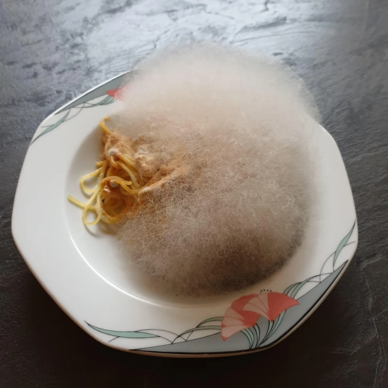 What if You Left a Bowl of Spaghetti and Mushrooms for a Week | Reddit.com/yanbochen