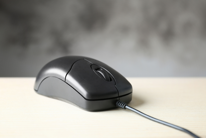 Computer Mouse | Shutterstock