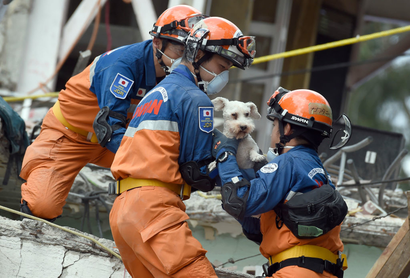 Saved From The Building | Getty Images Photo by ALFREDO ESTRELLA/AFP