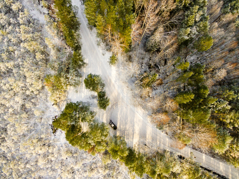 Un bosque en invierno | Alamy Stock Photo by Martins Vanags