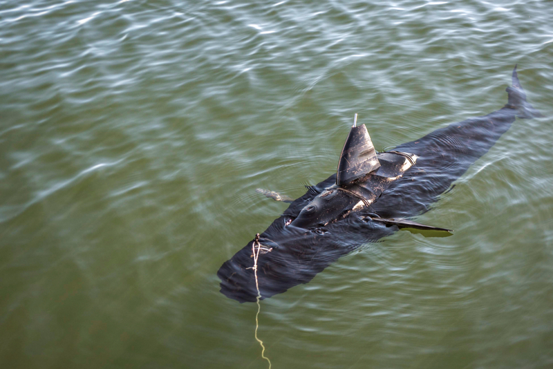 Drone captura a un tiburón robótico | Alamy Stock Photo by US Navy Photo 