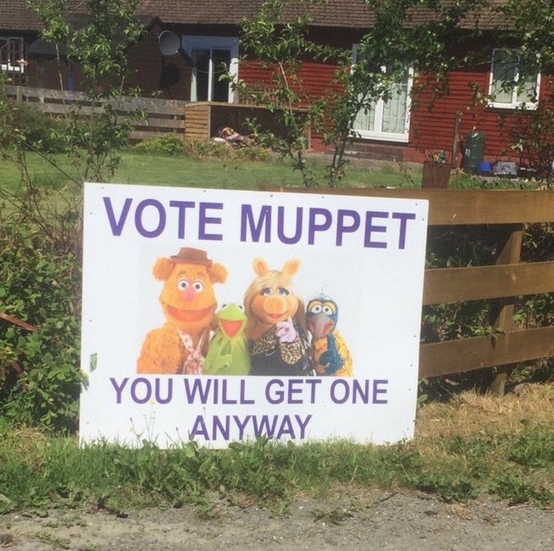 Muppets für alle | Twitter/@KarenShort8