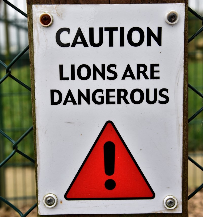 Wir sind keine Löwen | Alamy Stock Photo