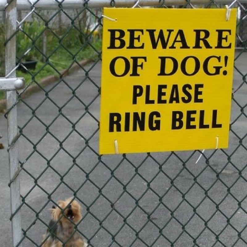 Vorsicht vor dem Hund? | Flickr Photo By LGagnon