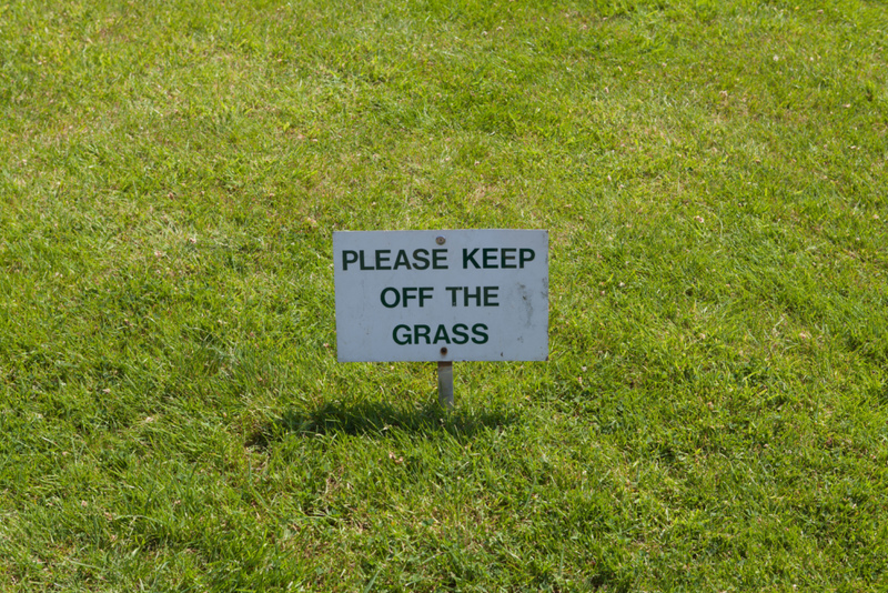 Das Gras ist auf der anderen Seite viel grüner | Alamy Stock Photo