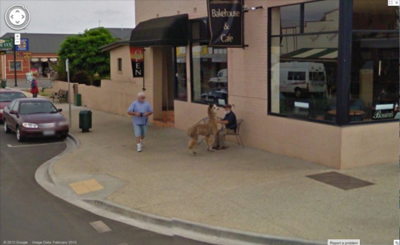 Mit dem Alpaka-Freund zum Kaffee trinken gehen | Imgur.com/RWNnMEO via Google Street View