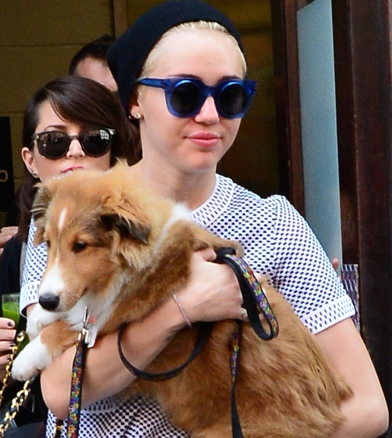 Miley Cyrus’ Pets Are a Problem | Getty Images Photo by Raymond Hall/GC Images