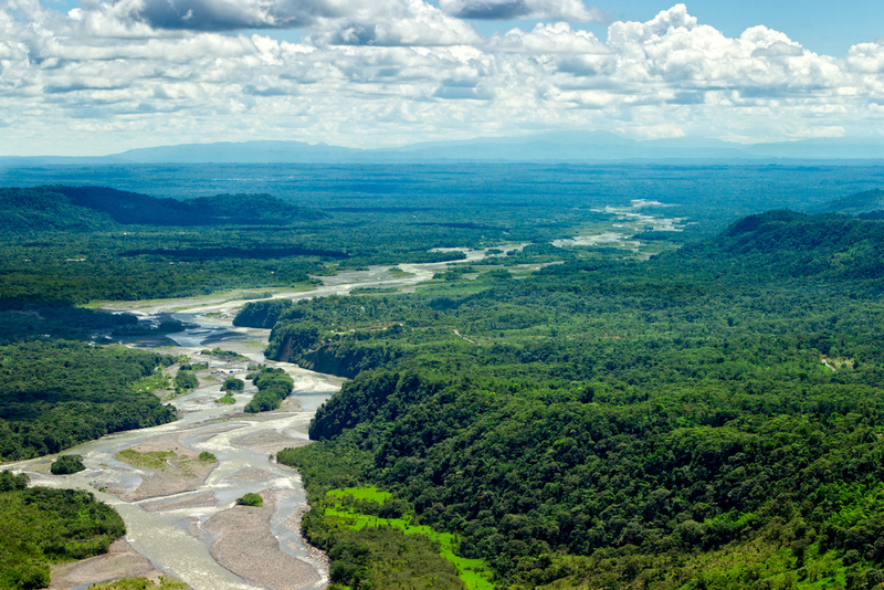 A Combination of Technology and Indigenous Wisdom Is Protecting the Amazon | Shutterstock