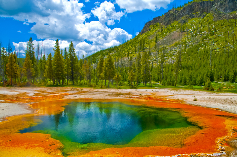 Yellowstone National Park Is a Boon for the Environment  | Shutterstock